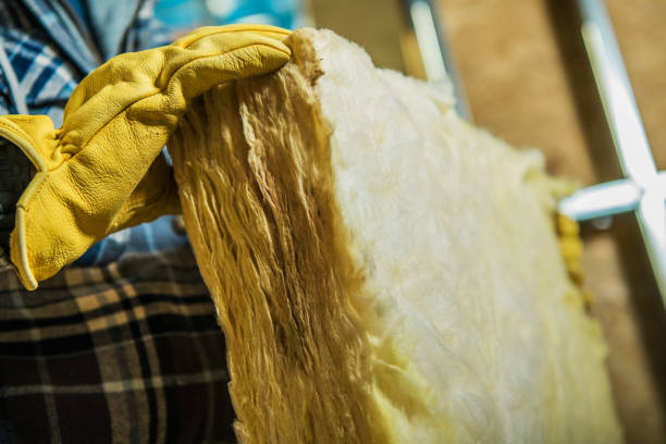 Best Specialty Insulation in Oak View, CA